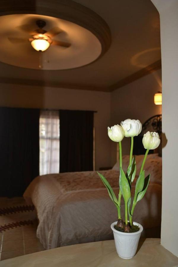 Maria Bonita Suites Agua Prieta Buitenkant foto